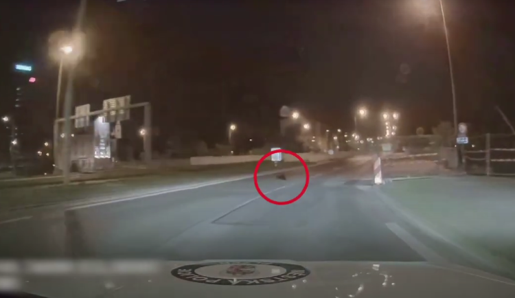 Plzeňští bobři si nedají pokoj, další pochodoval přímo před policejním autem