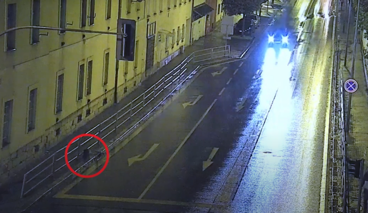 Bobří turistika v západočeské metropoli, během tří dnů se ulicemi toulali tři bobři