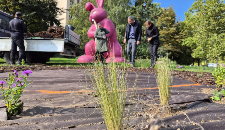 Slavného růžového králíka obklopí květiny, záhonům budou vévodit růže