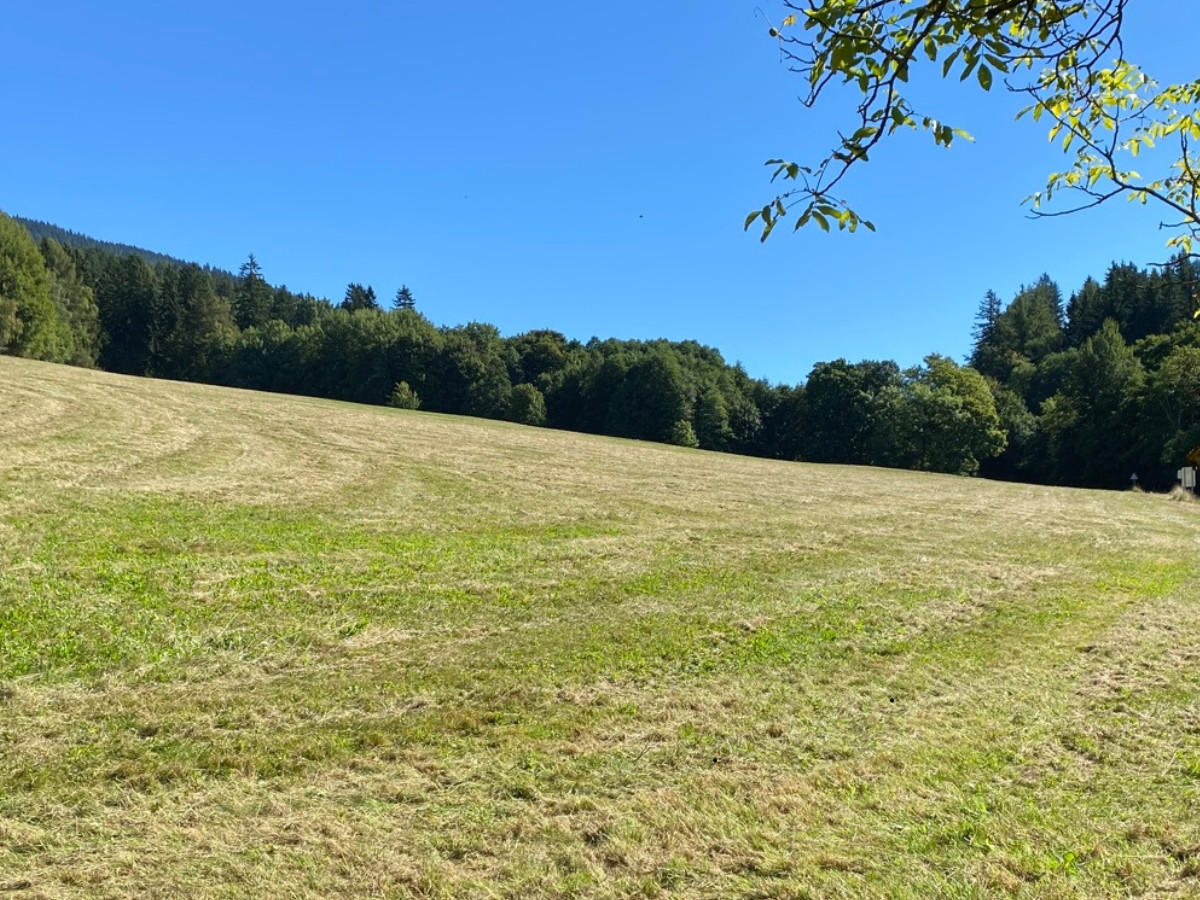 KRNAP ochránil cenné louky na východním okraji Černého Dolu. Apartmány mají stopku