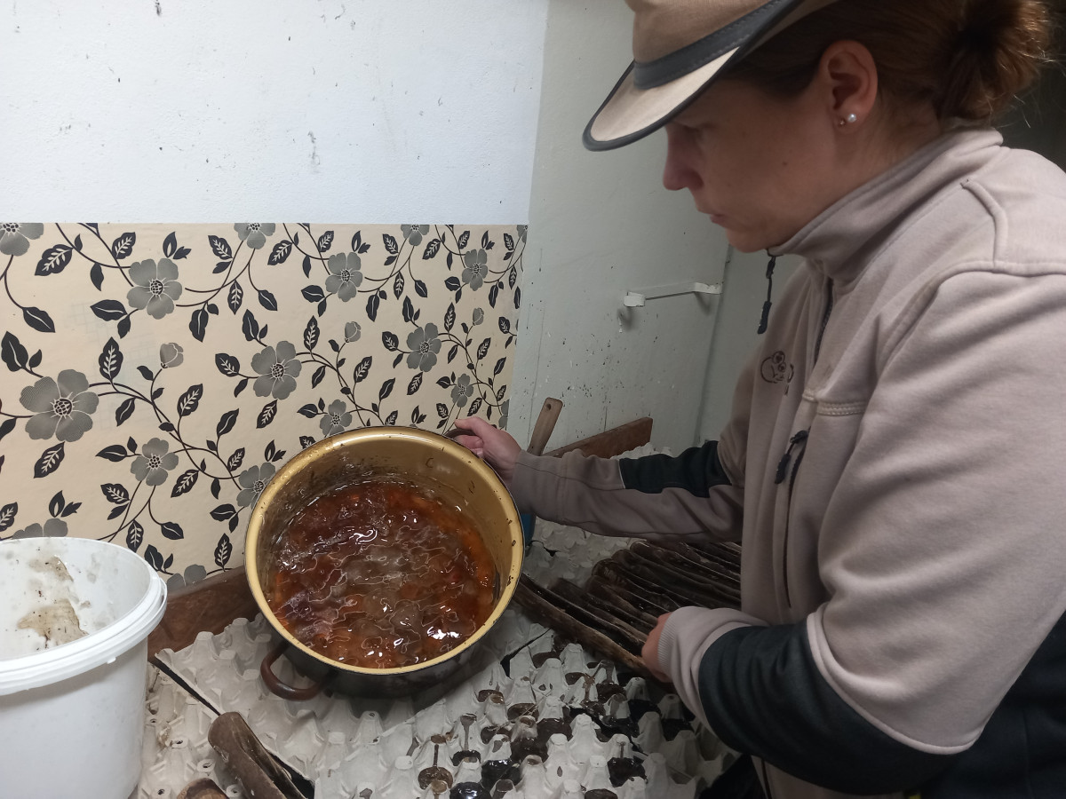 VIDEO: Drápkaté opičky si pochutnaly na hroznovém vínu. Nakrmit je může kdokoliv