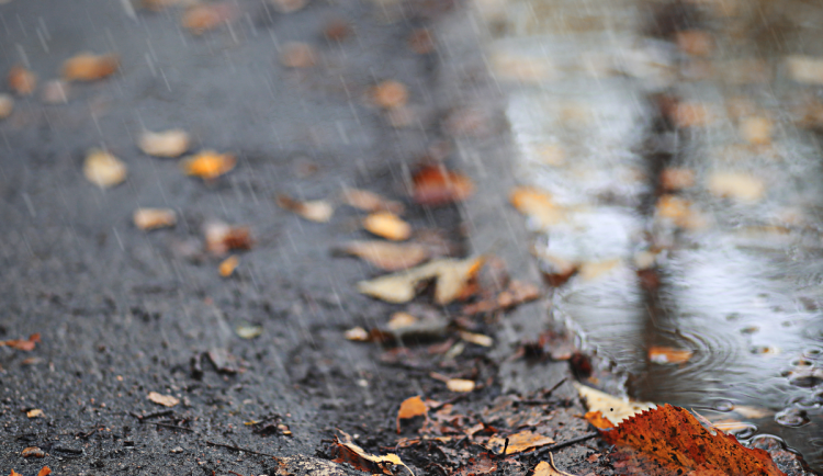 Počasí bude tento týden jako na houpačce. V hradeckém kraji se budou hodit deštníky
