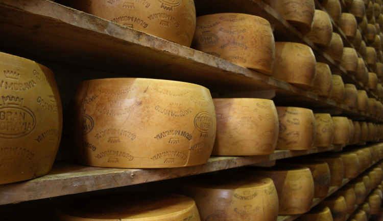 Sýr z Litovle boduje i v Itálii, Brazzale Moravia hlásí rekordní tržby 4,6 miliardy