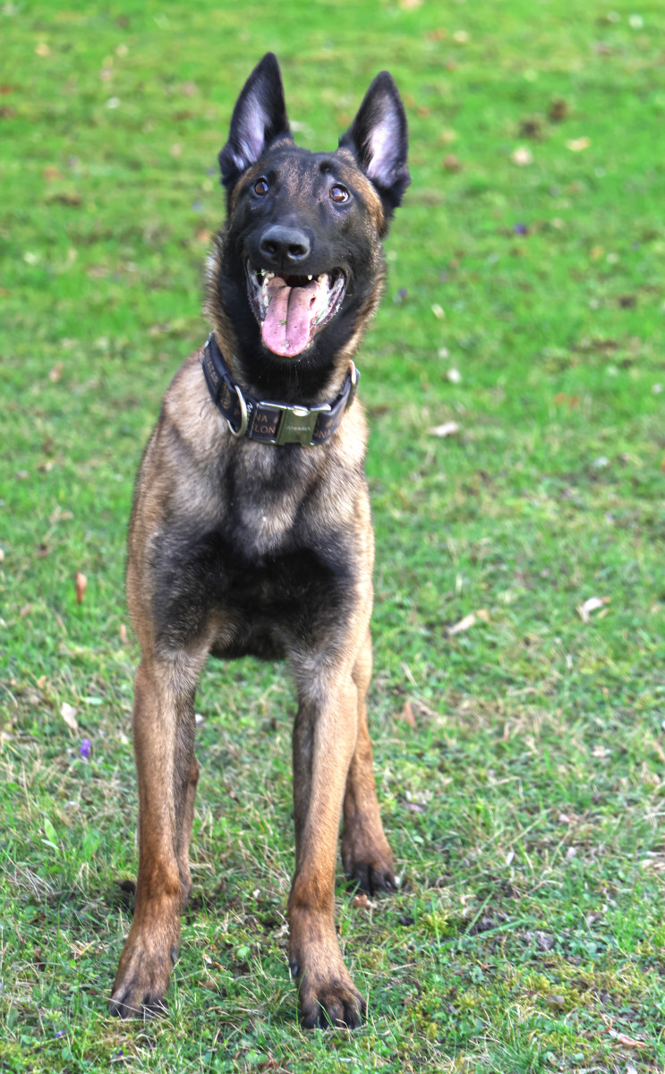 Špičkový specialista Avatar bude bojovat proti pytlákům. Misi podpoří i Daniel Hůlka