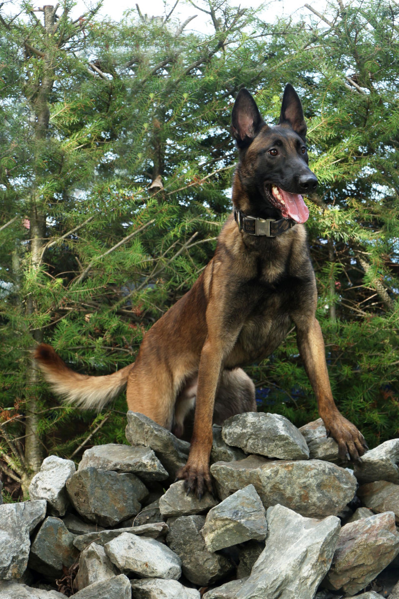 Špičkový specialista Avatar bude bojovat proti pytlákům. Misi podpoří i Daniel Hůlka