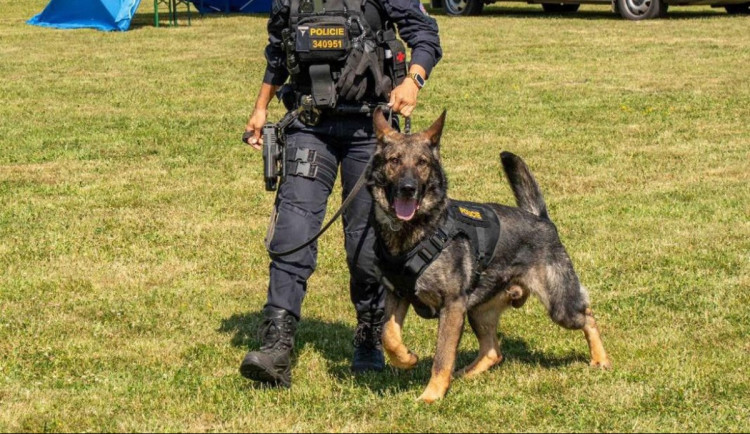 Seniorka byla v lese jen v noční košili a bez bot. Vypátral jí policejní pes