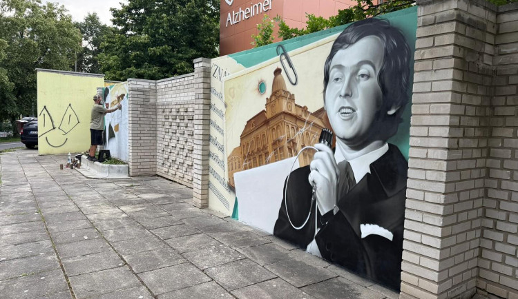 Streetart, discgolf, voliéry nebo mobilní kino. Jaké investice si lidé v kraji odhlasovali?