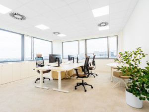 Schulke CZ otevřelo v Ostravě kanceláře na míru. Mají udržet i přilákat talenty