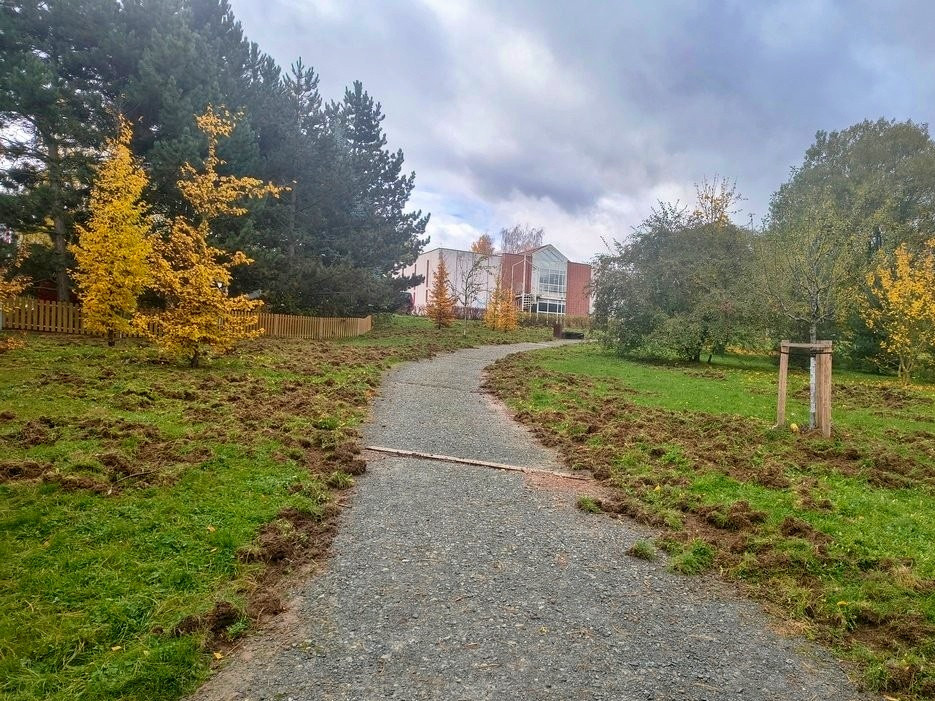 Divočáci si oblíbili sídliště. Obvod vyzývá pejskaře, aby nepouštěli psy z vodítka