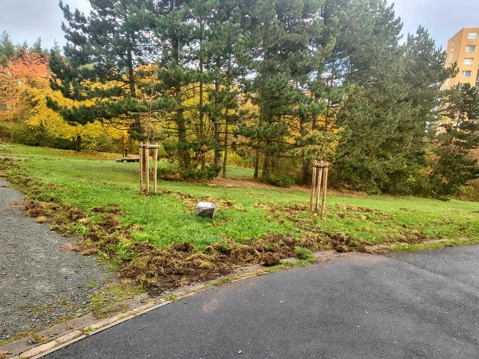 Divočáci si oblíbili sídliště. Obvod vyzývá pejskaře, aby nepouštěli psy z vodítka