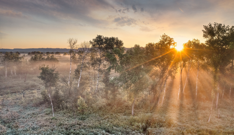 Předpověď počasí: Chladný víkend, čekají nás mlhy a mrholení