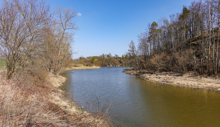 Tělo z Markovky patří přes dva roky hledanému muži ze Starče, našli ho policejní psi