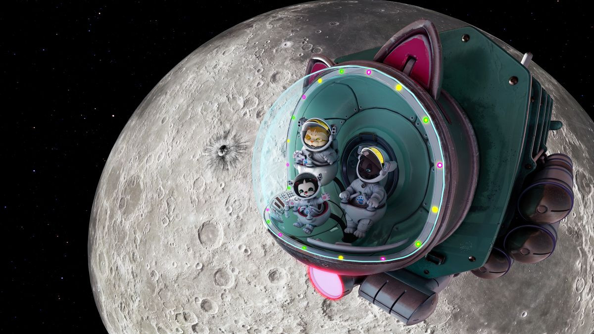 Malí kosmoplavci, vydejte se na kočičí dobrodružství za superúplňku