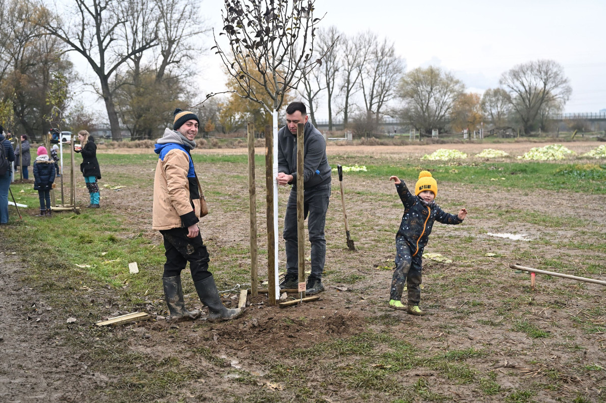 02_DJKT_2025_muzikalova_alej_foto_Milan_Svoboda_DSC_0604