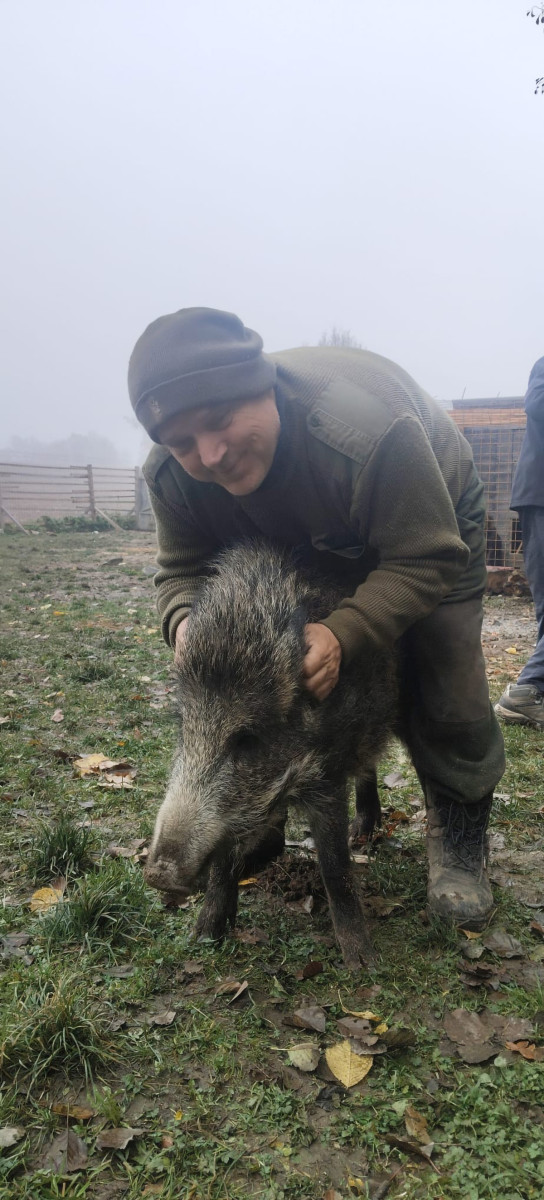 VIDEO: Bachyňka Andulka hvězdou na sítích. V záchranné stanici Pateřín si rozumí se psy i dětmi