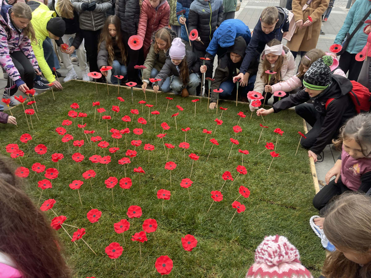 Lidé na Moravském náměstí v Brně zasadili vlčí máky jako symbol úcty k válečným veteránům