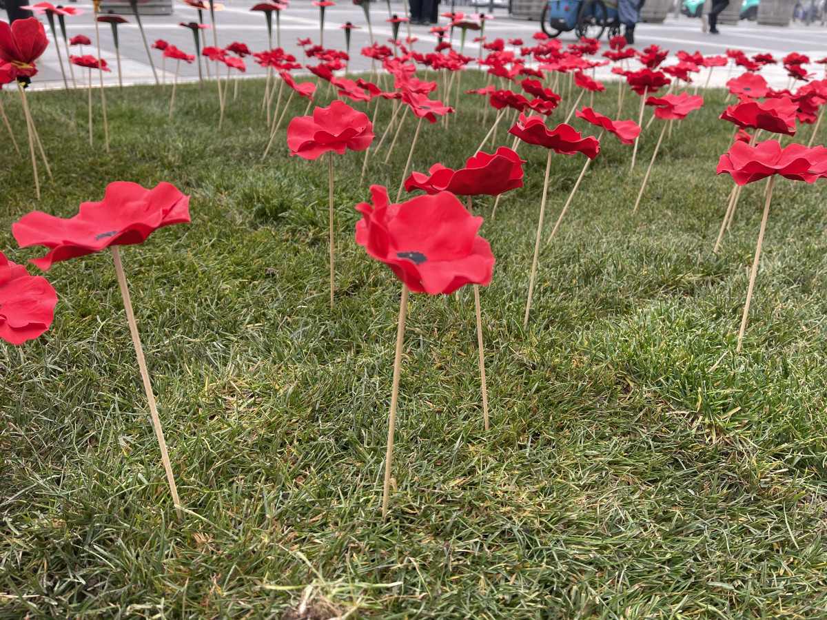 Lidé na Moravském náměstí v Brně zasadili vlčí máky jako symbol úcty k válečným veteránům