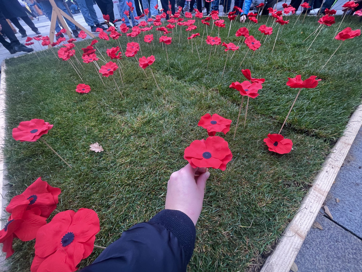 Lidé na Moravském náměstí v Brně zasadili vlčí máky jako symbol úcty k válečným veteránům
