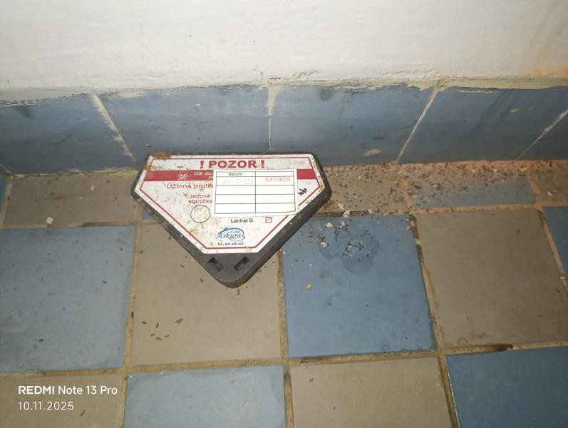 Inspekce uzavřela prodejnu v Táboře kvůli hlodavcům a špíně