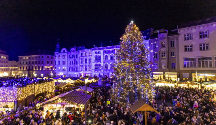 FOTO, VIDEO: V Olomouci se rozzářil vánoční strom Štědřínek
