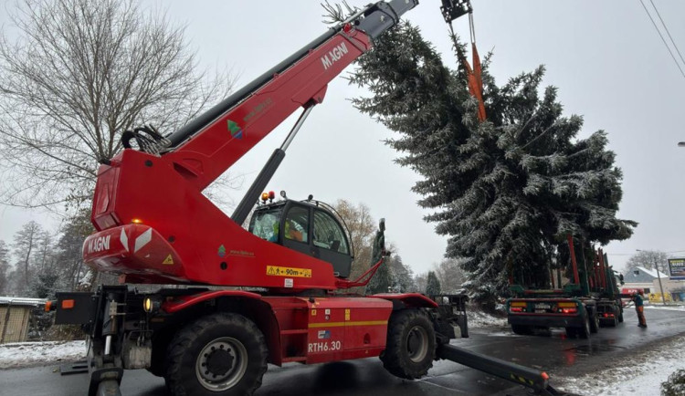 Karlovy Vary mají nový vánoční strom. Místo poničené douglasky je smrk z Tuhnic