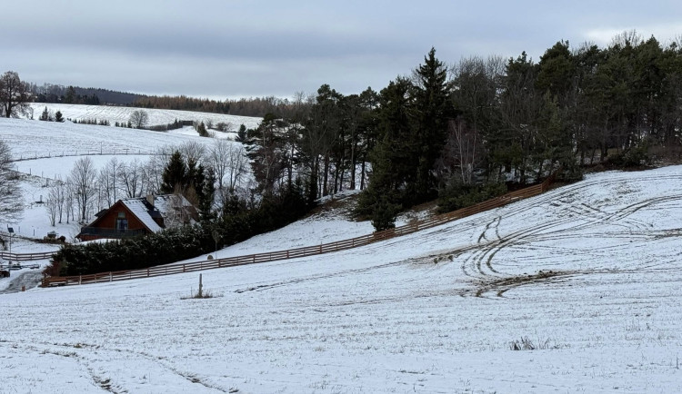 Louku u Repech zřejmě pro zábavu rozjezdil stříbrný Passat. Je vypsaná odměna za dopadení řidiče