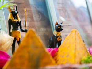 Sauna Herbal Cup opět míří do Aquapalace Praha