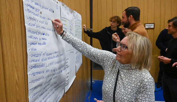 VIDEO: Bufet, fontána, nové toalety? Lidé debatovali o revitalizaci parku v Jihlavě