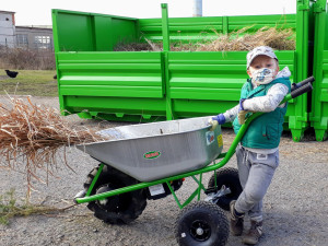 Motorová kolečka jsou jako auta. Motúčko je český Rolls-Royce