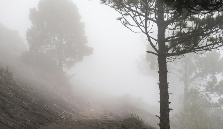 Během víkendu bude v kraji převážně zataženo. Přidají se mlhy a také mrholení