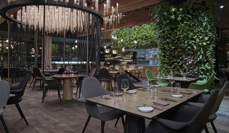 První michelinská hvězda pro Olomouc. Prestižní ocenění získala restaurace Entrée