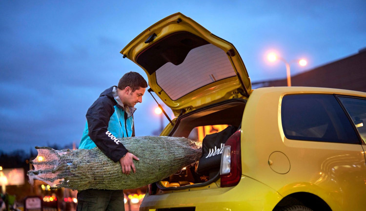 Wolt doručí vánoční stromky až domů! Ušetřete čas před svátky.
