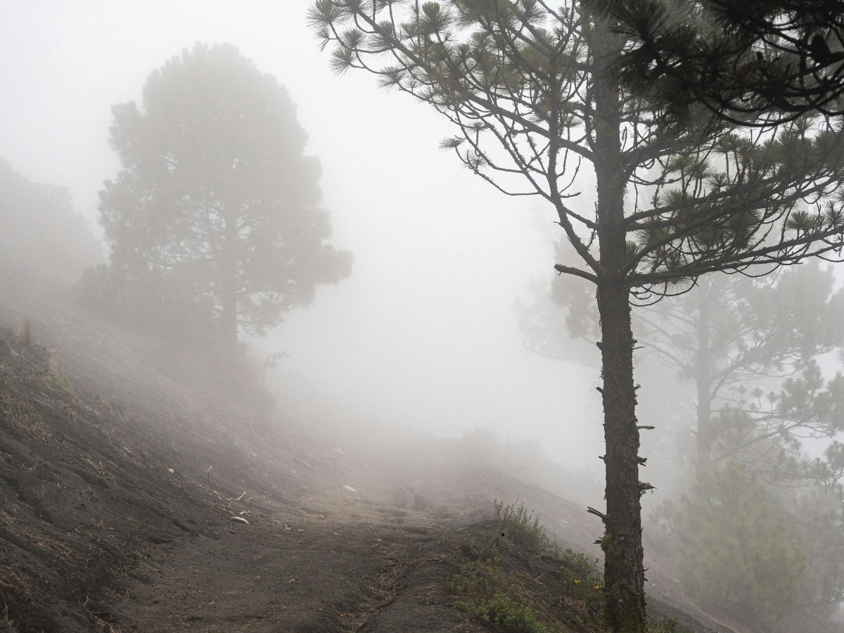 Během víkendu bude v kraji převážně zataženo. Přidají se mlhy a také mrholení