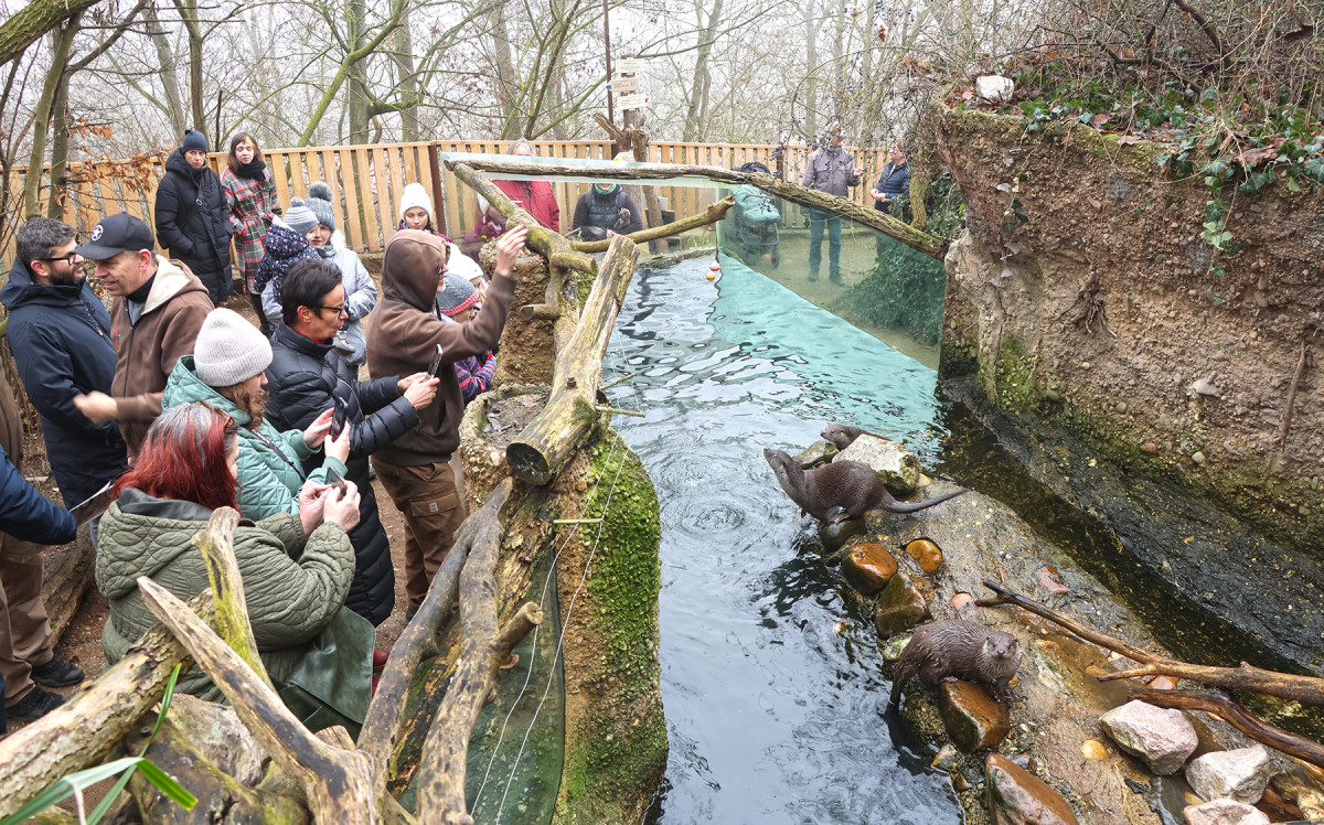 Novými hvězdami zoo jsou rozkošné vydří slečny. Dostaly jména Matylda a Klotylda