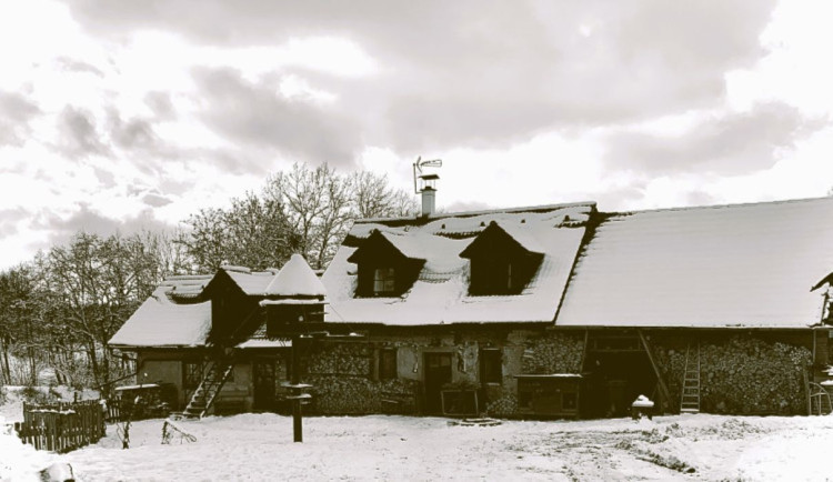 Vánoce na staré Šumavě bývaly pestré. Někde nosil dětem dárky zlatý kůň místo Ježíška