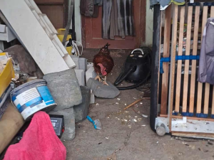 Požár zničil zázemí spolku, který se stará o děti v těžké situaci. Pomoct má sbírka