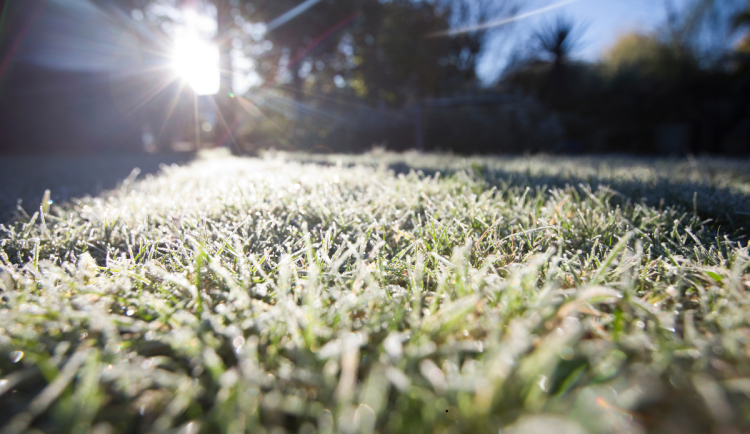 Na přelomu roku bude v hradeckém kraji mrznout. Přidají se i sněhové přeháňky