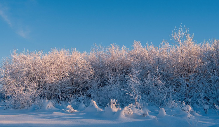Mrazivé ráno na Šumavě. Teploty klesly k minus 20 stupňům Celsia