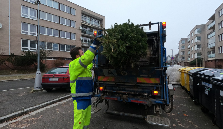 Vánoce v Hradci Králové jsou u konce. Město začne svážet stromky a sundá výzdobu