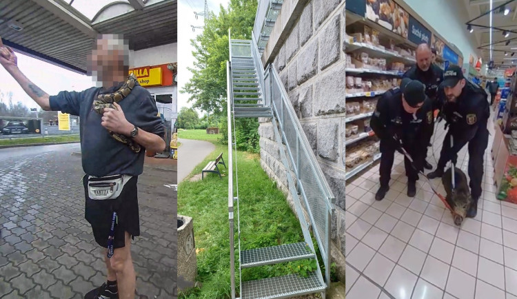 Ten největší bizár roku 2025. A že toho letos bylo opravdu požehnaně