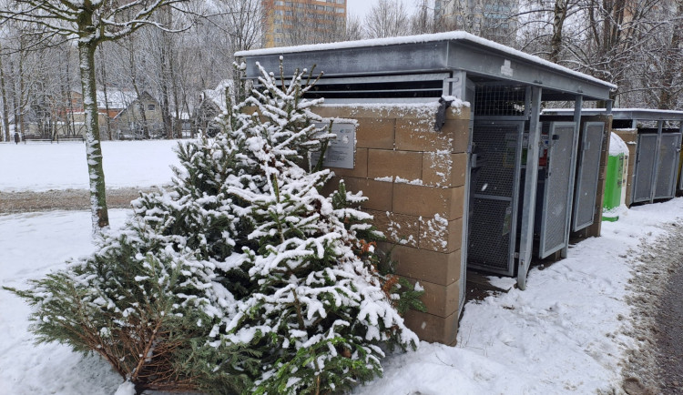 Svoz vánočních stromků začne v Liberci a Jablonci nad Nisou v pondělí