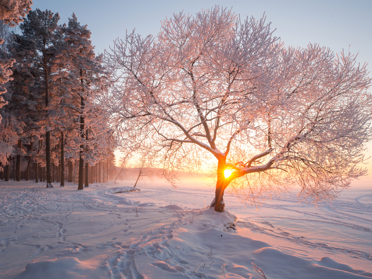 Během víkendu přituhne a teploty budou pod nulou. Přidá se i sněžení