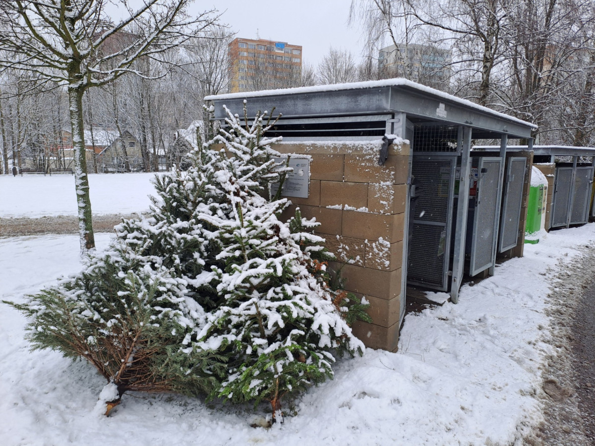 V Jablonci mají obyvatelé vánoční stromky odkládat výhradně ke stanovištím na tříděný odpad.