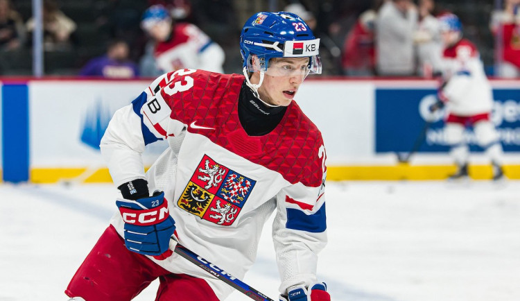 Tygr Galvas veze ze šampionátu juniorů stříbro a místo v all-star týmu turnaje