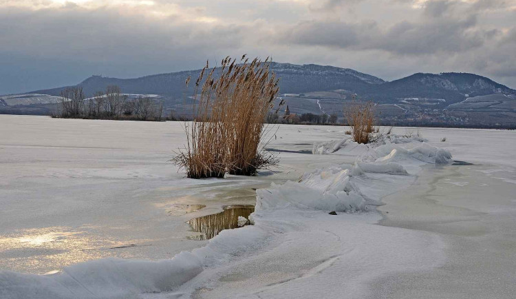 Bruslaři řádí na Novomlýnských nádržích. Ruší tím ale přezimující ptactvo