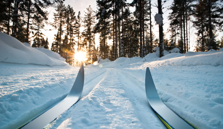 Krkonoše nabízí 600 kilometrů běžeckých stop. Jejich úprava stojí námahu i peníze