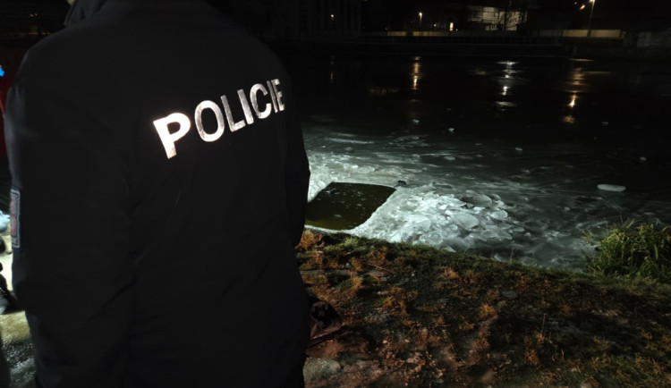 Dívku, která se topila v řece v Č. Budějovicích, propustili z nemocnice