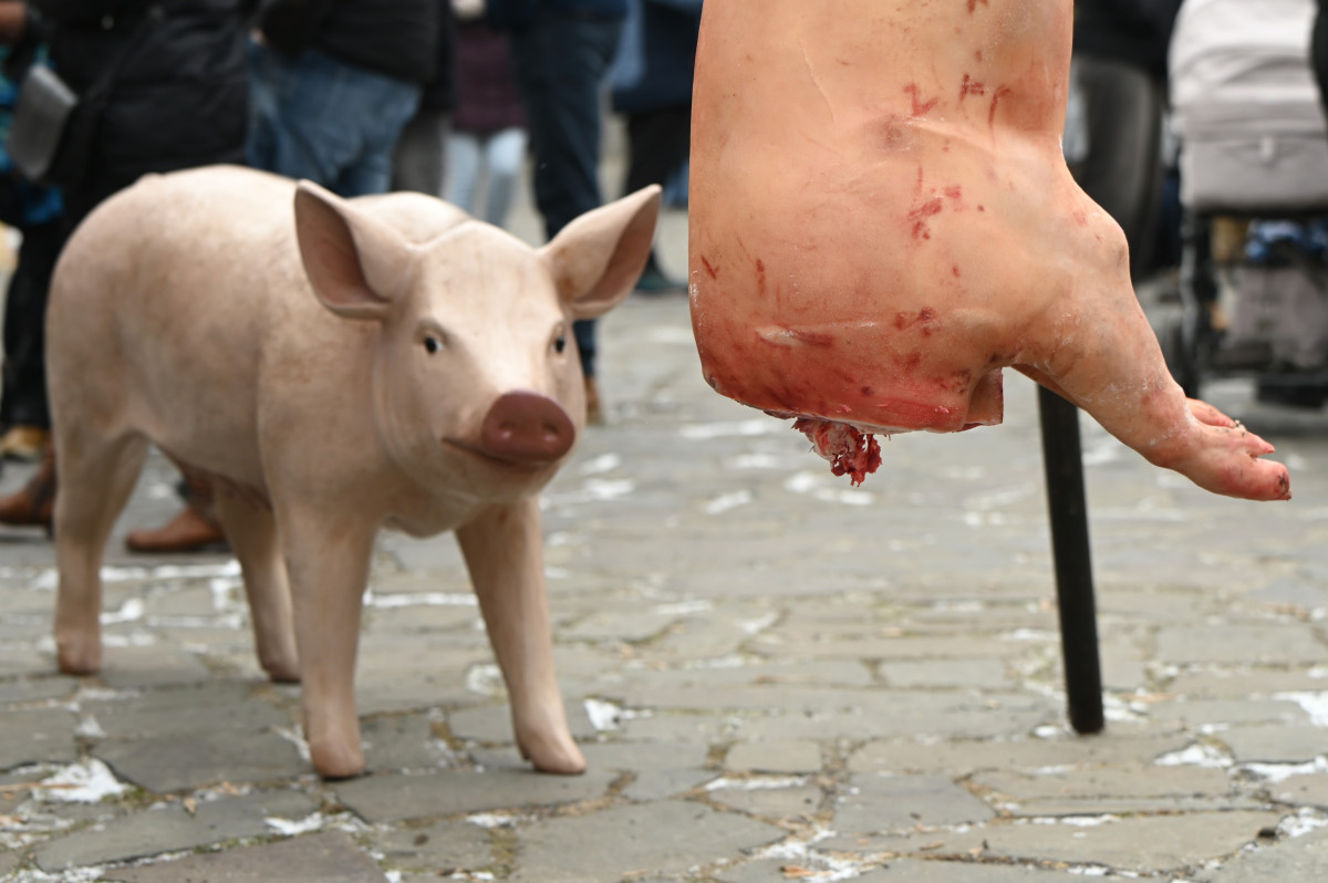 FOTO: Masopust na hradě. Nechyběla ani nefalšovaná zabíjačka