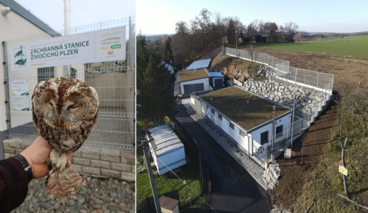 Záchranná stanice si oddychne. Město přidá tři miliony na dokončení rekonstrukce