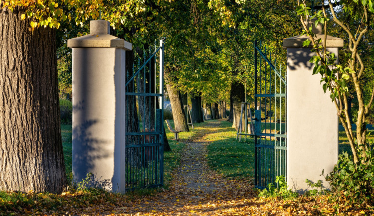 Maloměřická alej bodovala, bronz v celostátní anketě jí utekl jen o fous